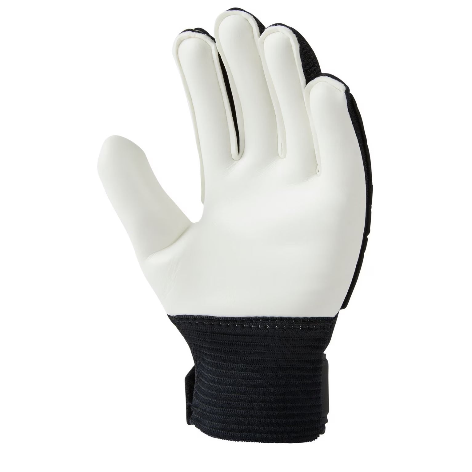 Match Goalkeeper Gloves Juniors